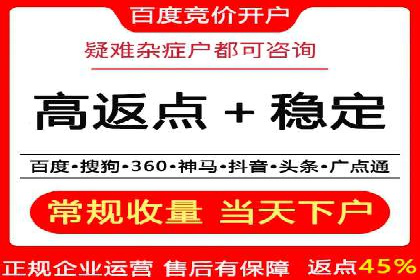 揭秘百度竞价代理：实战案例分析